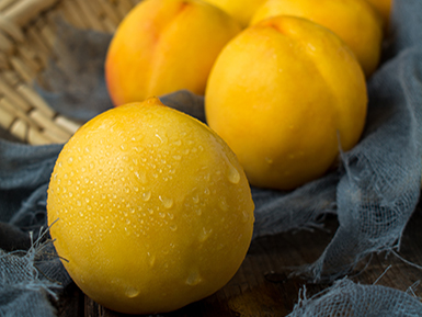 九游娱乐平台基地展示五